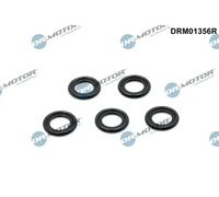 Anello di tenuta, vite di scarico olio DRM01356R Dr.Motor Automotive per FORD MG