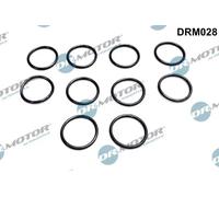 Anello di tenuta, vite di scarico olio DRM028 Dr.Motor Automotive