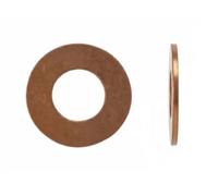 Anello Di Tenuta Vite Di Scarico Olio Corteco 005696H per Fiat Ford Man Mazda