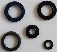 Anello Guarnizione Paraolio Kymco Kxr 250 Maxxer MXU Mongoose 250 300 Motore
