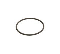 Bosch Anello di tenuta F 00N 201 306 – O-Ring