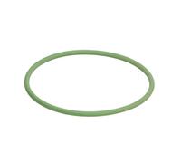 Anello in gomma BOSCH F 00R 0P1 106