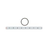 Bosch Anello in gomma F 00V C38 045
