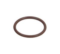 Anello in gomma BOSCH F 00V P01 005