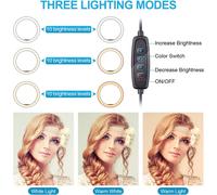 Anello luminoso a LED dimmerabile, con ampia portata, effetti speciali e supporto universale per telefono, ideale per creatori di contenuti, 25 cm
