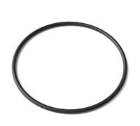 Anello O-ring 1 di ricambio per chiarificatore per laghetti SunSun CUV-236