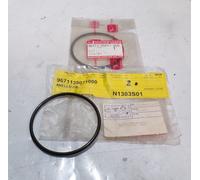 ANELLO O-RING FILTRO OLIO PER PIAGGIO PORTER VAN (CONFEZIONE DA 2 PEZZI)