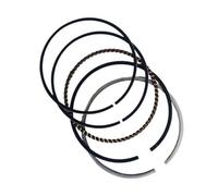 Anello pistone adatto for pompa acqua motore GP160 GP200 13010-Z1T-701