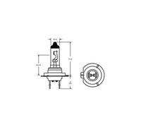 Anello - R477 - Fari H7, Cappello Fari - PX26D H7/WATT - 55