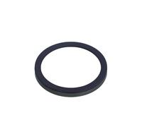 Anello sensore, ABS Assale post. bilaterale per CITROËN PEUGEOT RENAULT 207 207