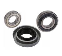 Anello Tenuta + Cuscinetti per Lavatrice Ariston Indesit C00202418 Originale