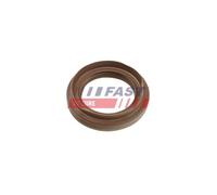 FAST FT49863 Paraolio, Cambio manuale