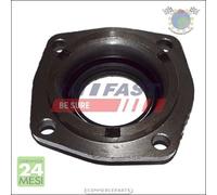 Anello tenuta differenziale Fast per FIAT DUCATO