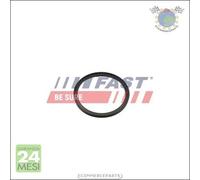 Anello tenuta Flessibile aria alimenta. Fast per BMW X3 F25 xDrive 4 F36 420 FI