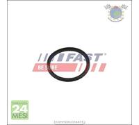 Anello tenuta Flessibile aria alimenta. Fast per DACIA SANDERO DUSTER DOKKER #ej
