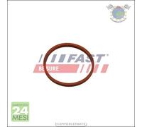 Anello tenuta Flessibile aria alimenta. Fast per DACIA SANDERO DUSTER DOKKER LO