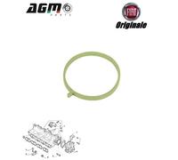 Anello tenuta guarnizione collettore originale fiat doblo idea 55272058