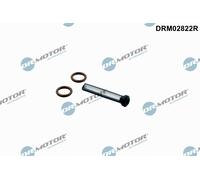 Anello tenuta, Immissione olio (Compressore) per FORD TOURNEO CUSTOM TRANSIT TRA