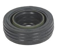 ANELLO TENUTA LAVASTOVIGLIE BOSCH D453146