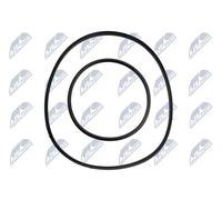 Anello tenuta, Portainiettore per BMW 1 3 5 X1 X3 Z4