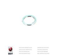 Anello tenuta Tubo gas scarico PER Citron Saxo 1.5 D 40 KW 54 CV