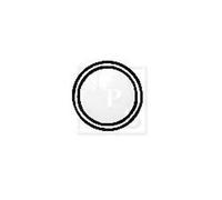 Anello tenuta Tubo gas scarico PER Nissan Primera 2.0 96 KW 131 CV