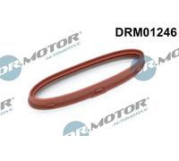 Anello tenuta turbina DRM01246 Dr.Motor Automotive per MERCEDES-BENZ CLS