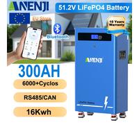 ANENJI 15.36KWh 5KWh 51.2V 314Ah Batteria di accumulo di energia LiFePO4 Batteria Bluetooth integrata BMS 15 parallela CAN RS485 6000 Ciclo