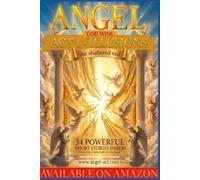 ANGEL BK 3 THE SHATTERED VEIL