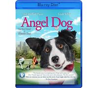 Angel Dog