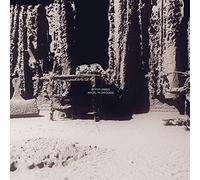 Angel In Disguise [輸入アナログ盤 / 1LP] (ALNLP63)_979 [Analog]