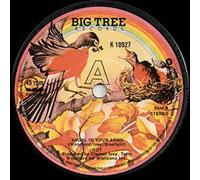 ANGEL IN YOUR ARMS 7" (VINYL 45) UK BIG THREE 1977