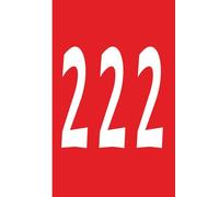 Angel Numbers - 222 (Red/White): Journal | Diary | Notebook | Logbook | Composition Book | 6x9 Inches | 100 Pages