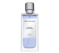 Angel Schlesser Les Eaux D’un Instant Luminous Violet Eau de Toilette 100 ml