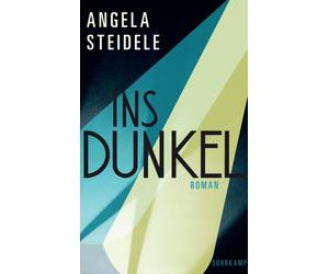 Angela Steidele Ins Dunkel: Roman Greta Garbo und Marlene D (Copertina rigida)