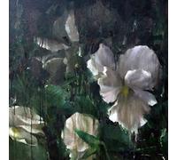 Angele David-Guillou - Kourouma