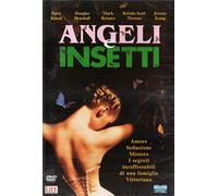 Angeli E Insetti
