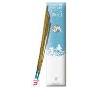 Erboristeria Magentina Angeli Incensi 8pz 14g