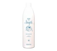 Erboristeria Magentina Olio Degli Angeli 500ml