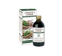 Angelica cinese estr integr s/
