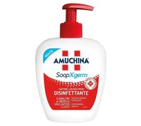 Amuchina Xgerm Sapone Disinfettante 250 Ml