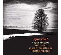 Angelini Bruno - Open Land