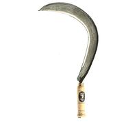 Angelo Bergamasco Falciola dentata 10/0