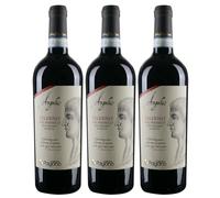 ANGELUS Falerno del Massico Riserva DOC - Fattoria Pagano - Vino Rosso - 2018 (3 BT)