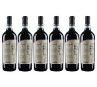 ANGELUS Falerno del Massico Riserva DOC - Fattoria Pagano - Vino Rosso - 2018 (6 BT)