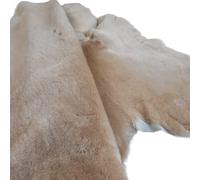 Anger As Art - Callous & Furor