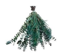 ANGGREK Foglie di Eucalipto Naturali Secchi Secchi di Foglie di Eucalipto Reale 40 Foglie di Eucalipto Naturale per Decorazioni per la Casa del Bagno con Profumo Floreale Fresco (3)