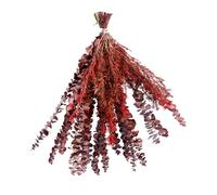 ANGGREK Foglie di Eucalipto Naturali Secchi Secchi di Foglie di Eucalipto Reale 40 Foglie di Eucalipto Naturale per Decorazioni per la Casa del Bagno con Profumo Floreale Fresco (4)
