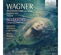 Richard Wagner Wagner: Wesendonck-Lieder (Arr. Henze)/Siegfried Idyll/Träum (CD)