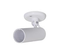 Angled ceiling mount for AI NEW